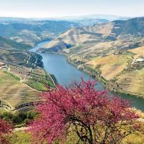 A-ROSA Flusskreuzfahrt 7 Nächte Douro